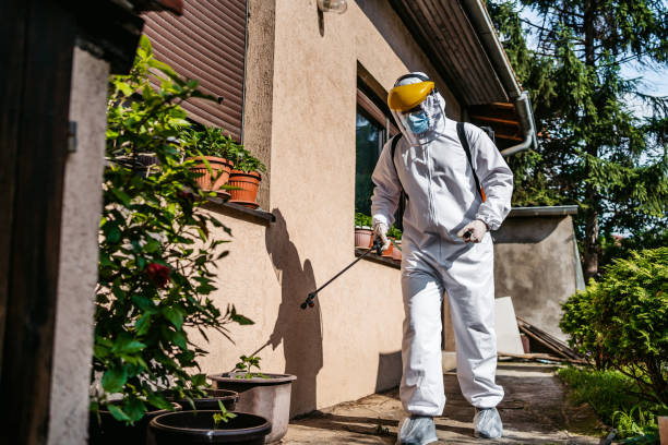Best Wasp Removal Services  in Baird, TX
