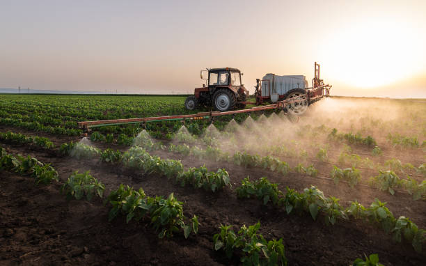Best Commercial Pest Control Services  in Baird, TX