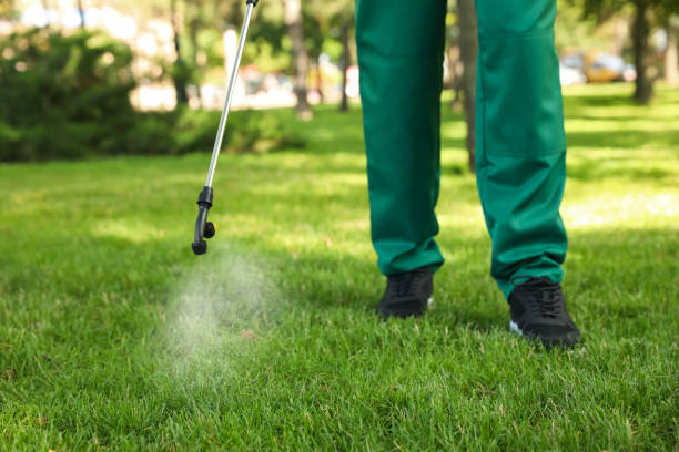 Best Mosquito Control Services  in Baird, TX