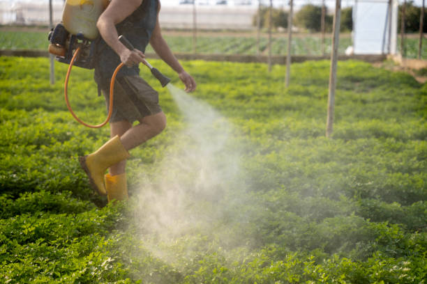 Best Best Pest Control Companies  in Baird, TX