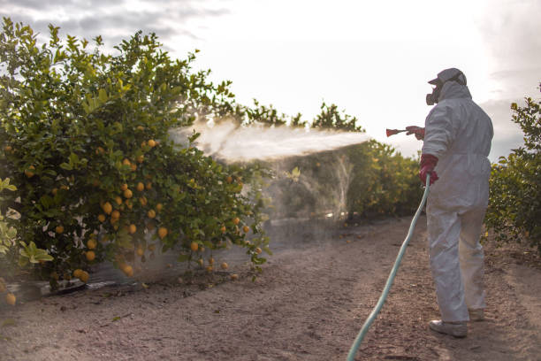 Best Rodent Control Near Me  in Baird, TX