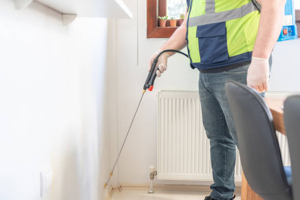 Best Ant Control Services  in Baird, TX