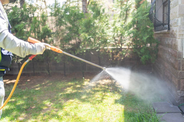 Best Affordable Pest Control Services  in Baird, TX
