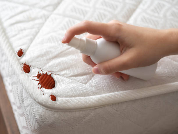 Best Affordable Exterminators  in Baird, TX