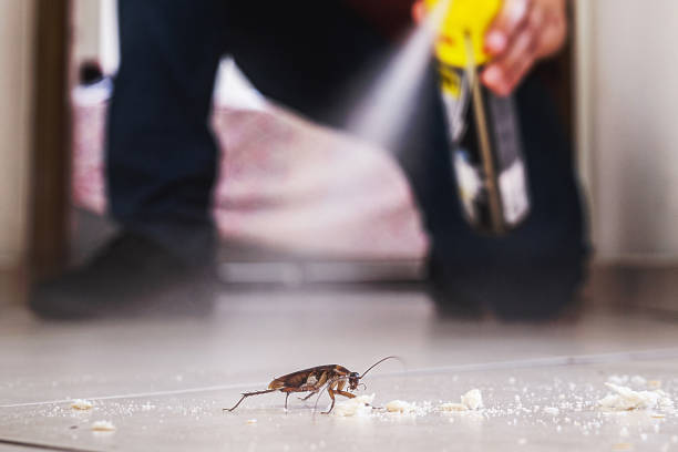 Best Exterminator Services  in Baird, TX