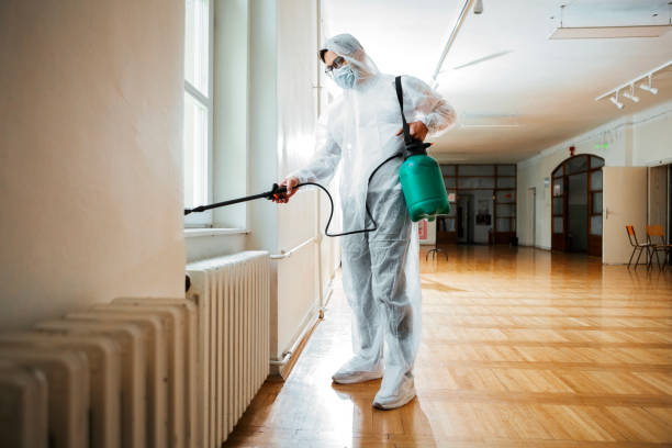 Best Local Pest Control Services  in Baird, TX