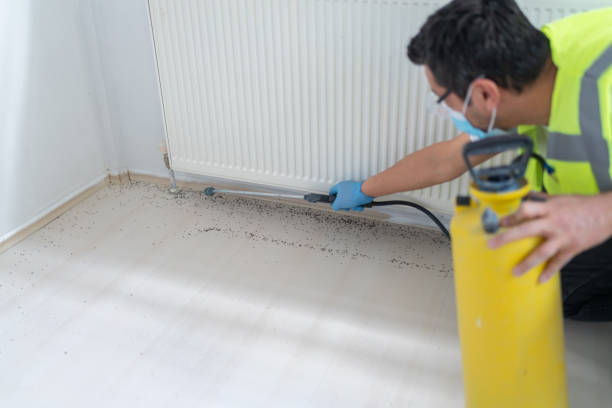 Best Wasp Removal Services  in Baird, TX