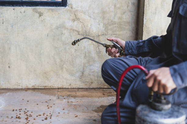Best Local Pest Control Services  in Baird, TX